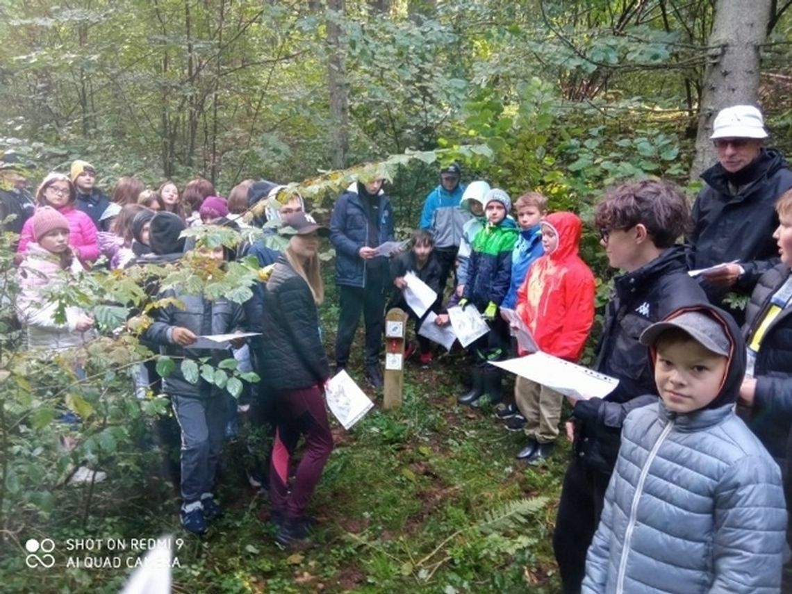 „Drzewa są po prostu piękne, potrzebują tak niewiele, bo słońca, deszczu… a od ludzi szacunku” 