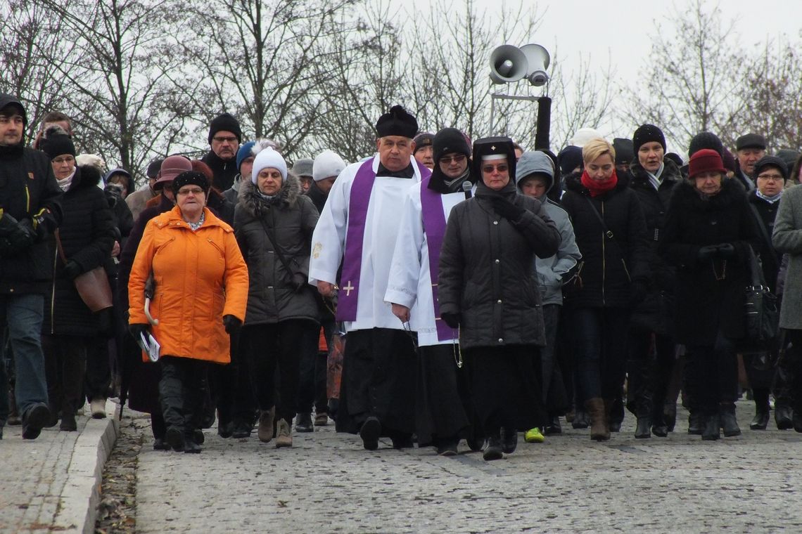 Dzień Wszystkich Świętych (foto)