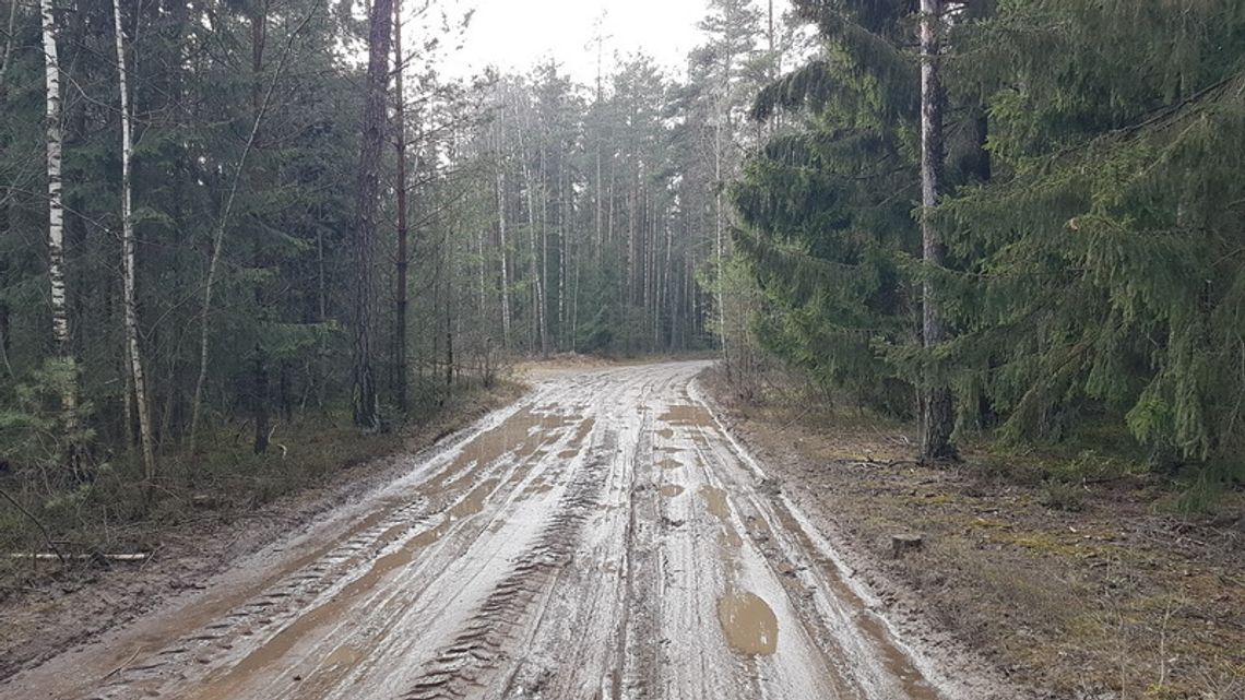 Dziura na dziurze, dziurę pogania