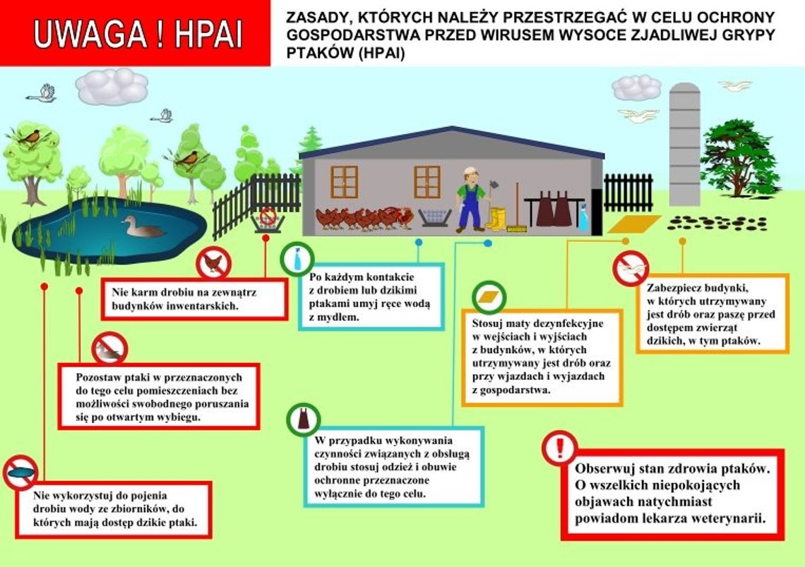   Hodowcy ptactwa powinni być czujni 