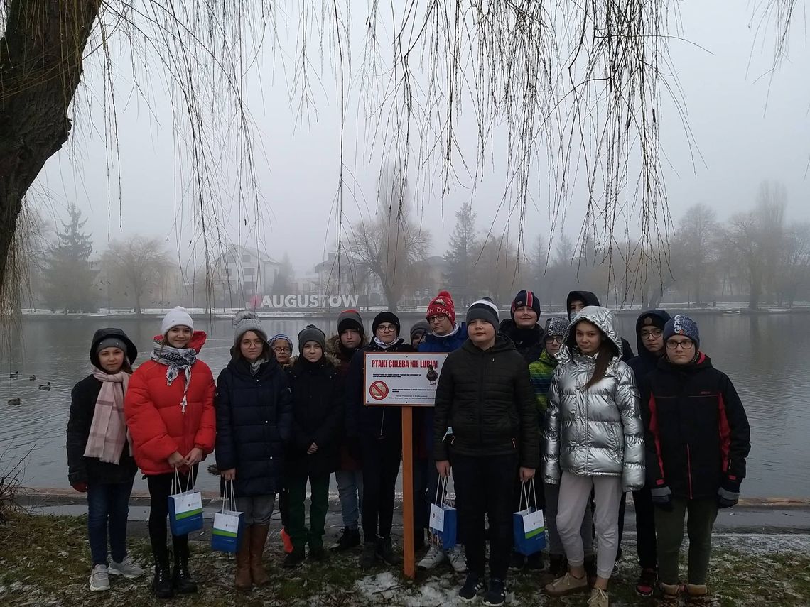 Jak dokarmiać ptaki? – projekt edukacyjny  