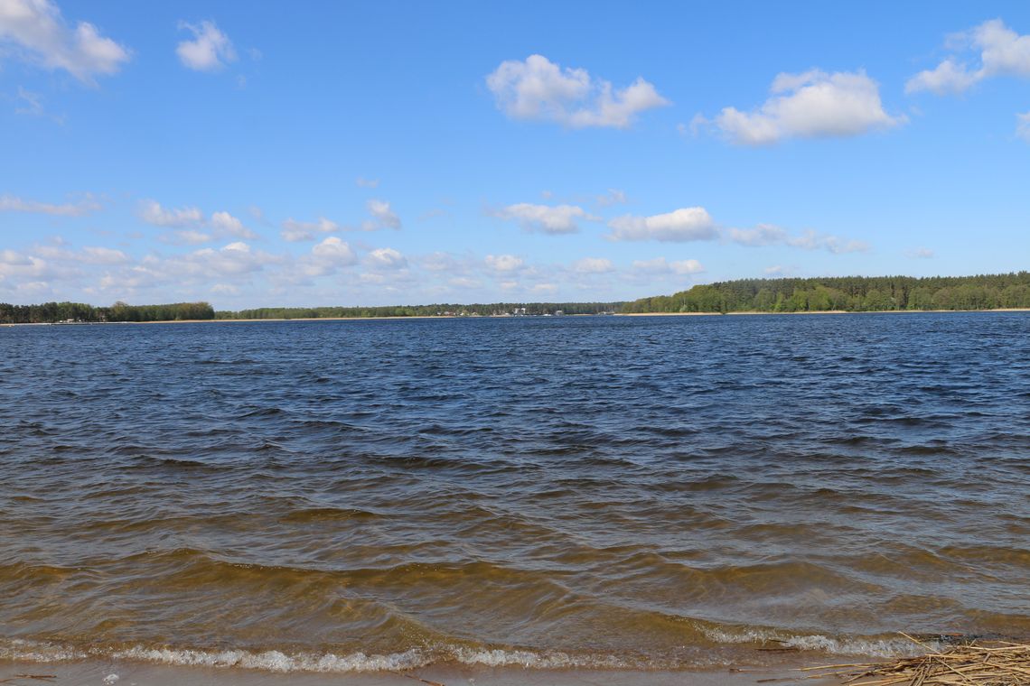 Panorama jeziora Necko, widziana z perspektywy plaży Budowlani. (Archiwum PP)