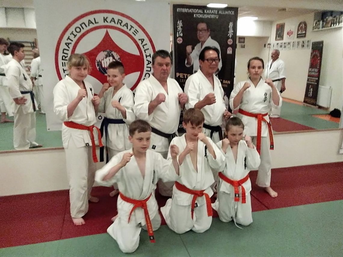 Karatecy z sukcesami w Ostrowi