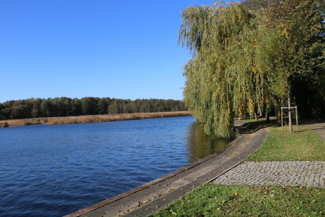 Rzeka Netta w Augustowie.