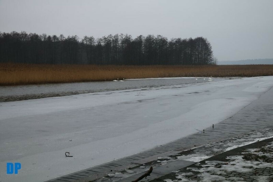 Kolejka nad rzeką Nettą