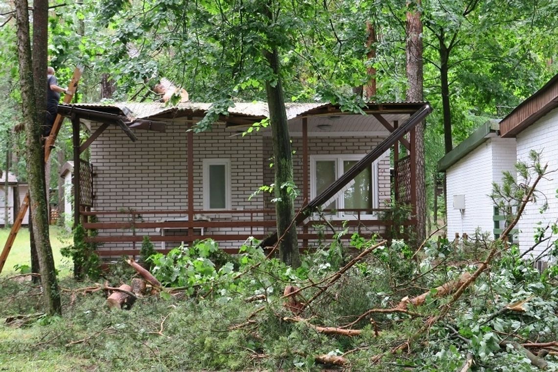 Na Wczasowej drzewo spadło na domek (foto)