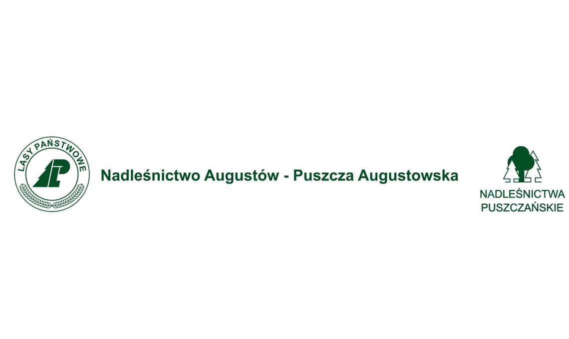 Nadleśnictwo Augustów sprzedaje Toyotę Hilux Nadleśnictwo Augustów sprzedaje Toyotę Hilux