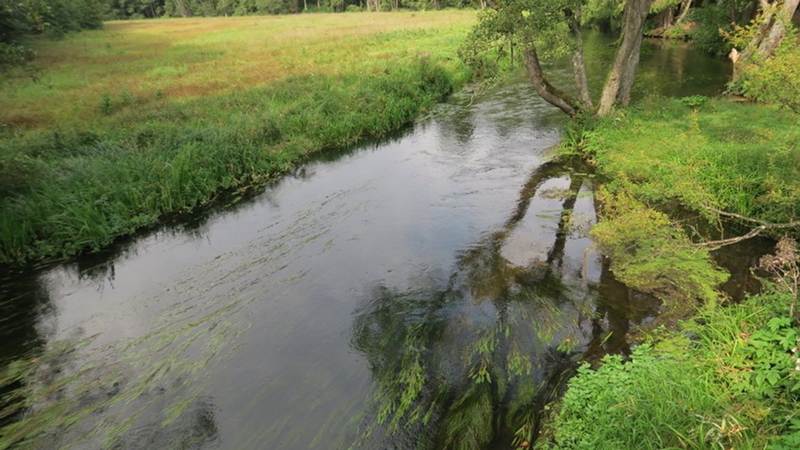 Rzeka Rospuda w powiecie augustowskim