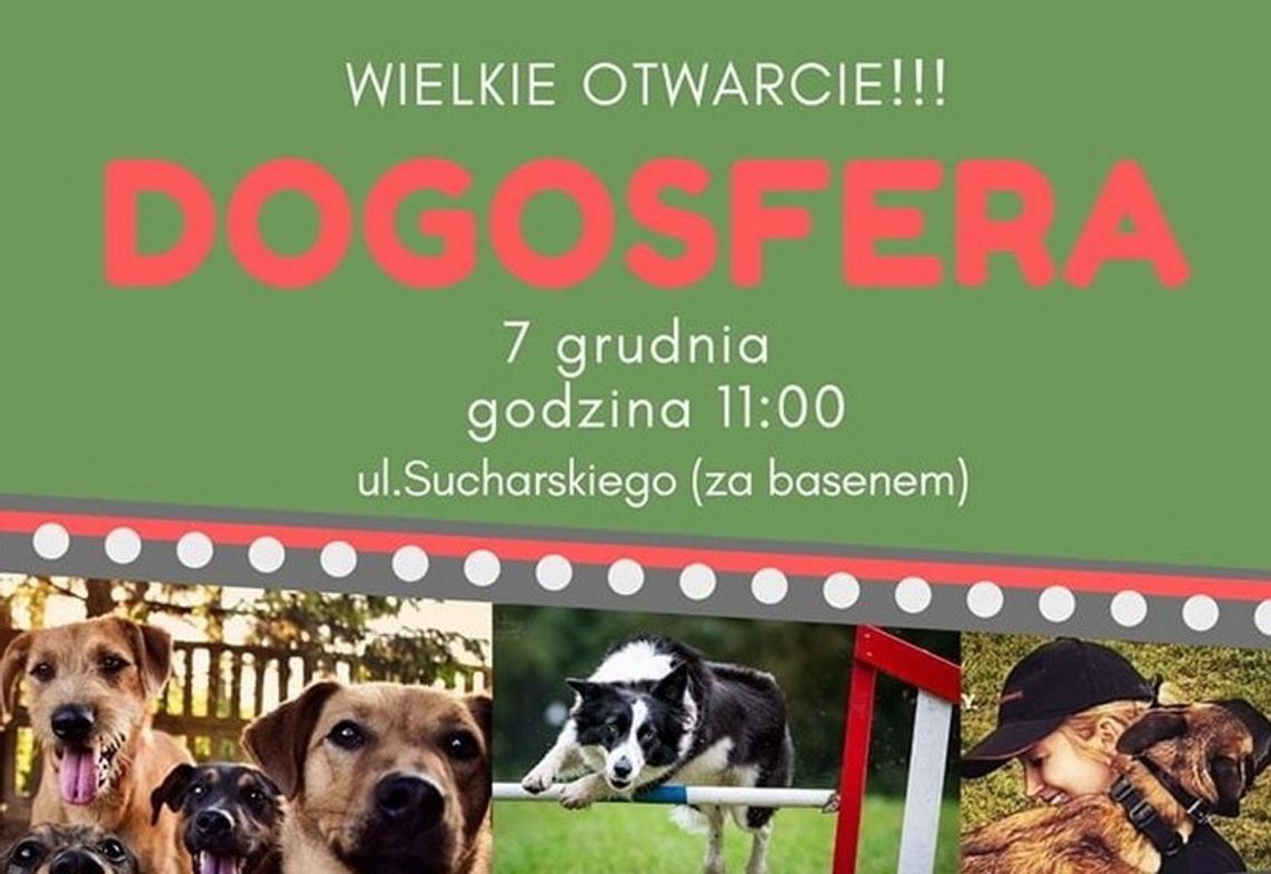 Otwarcie psiego parku „Dogosfera”