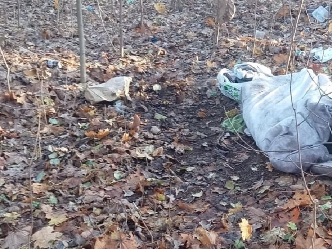 Policjant pomógł mężczyźnie śpiącemu w lesie 