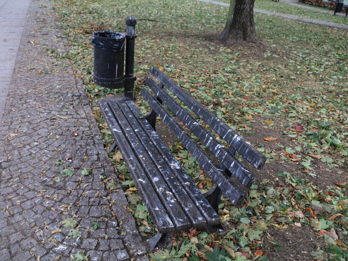 Ptasie ekskrementy na ławkach w augustowskim parku miejskim Ptasie ekskrementy na ławkach w augustowskim parku miejskim