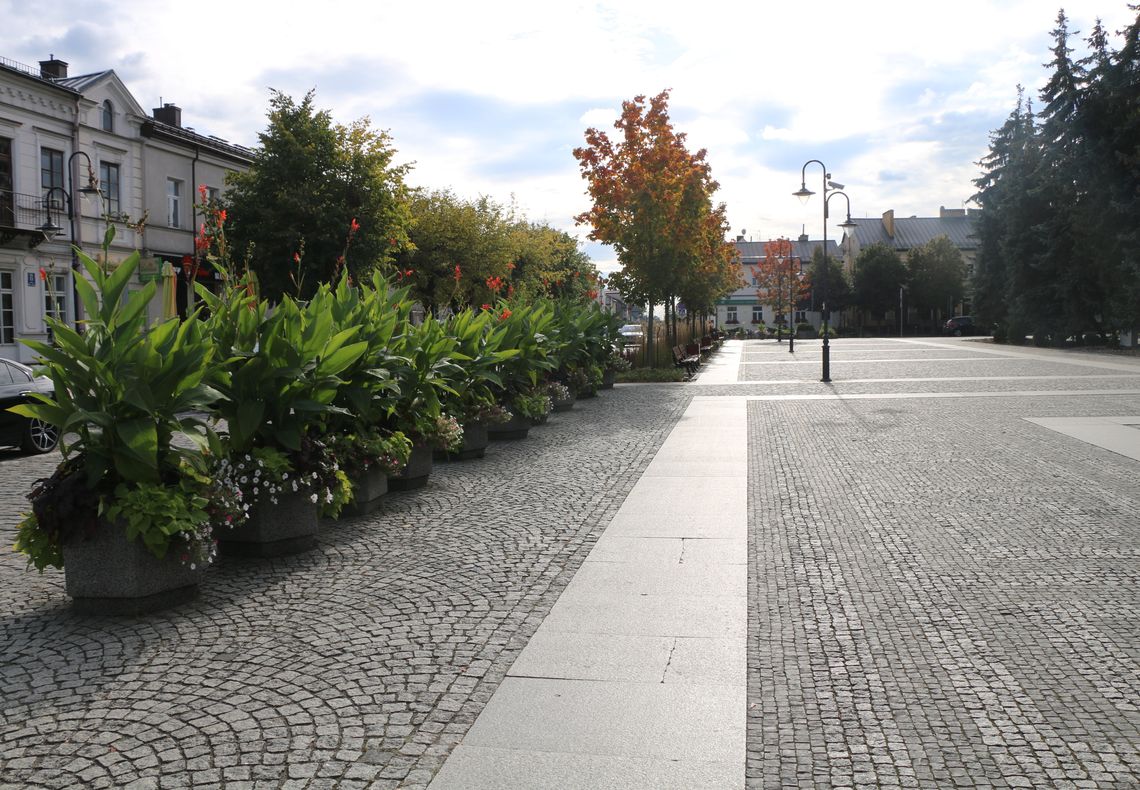Na zdjęciu: Rynek Zygmunta Augusta.