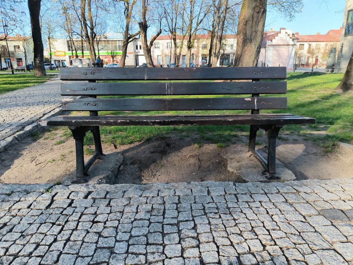 Zdjęcie ilustracyjne: Ławka w augustowskim parku miejskim w ostatnich dniach.