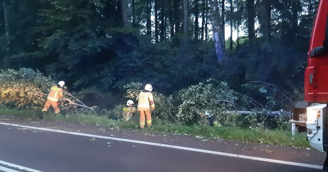 Silny wiatr szaleje nad powiatem augustowskim: strażacy w akcji