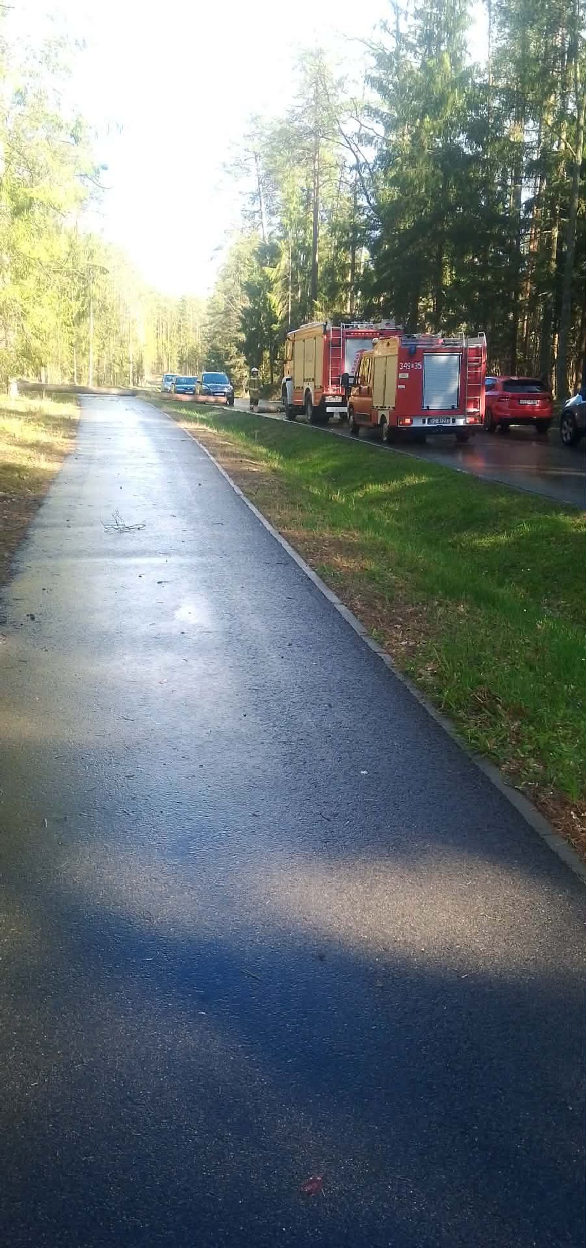 Strażacy usuwają skutki nawałnicy