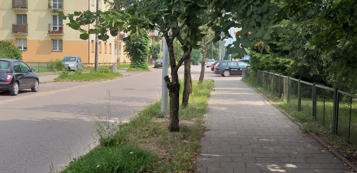 Ułanów Krechowieckich została zadbana 