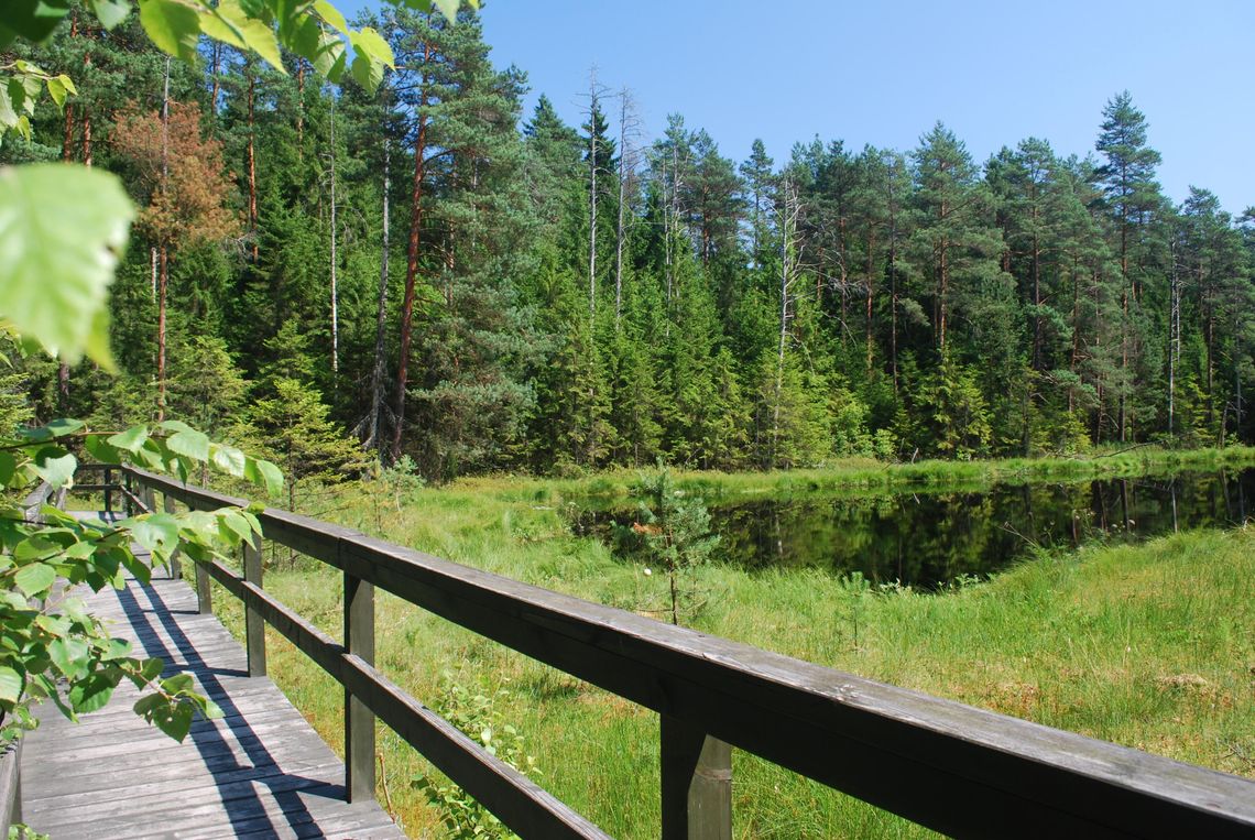 Wigierski Park Narodowy – jeden z największych parków narodowych w Polsce