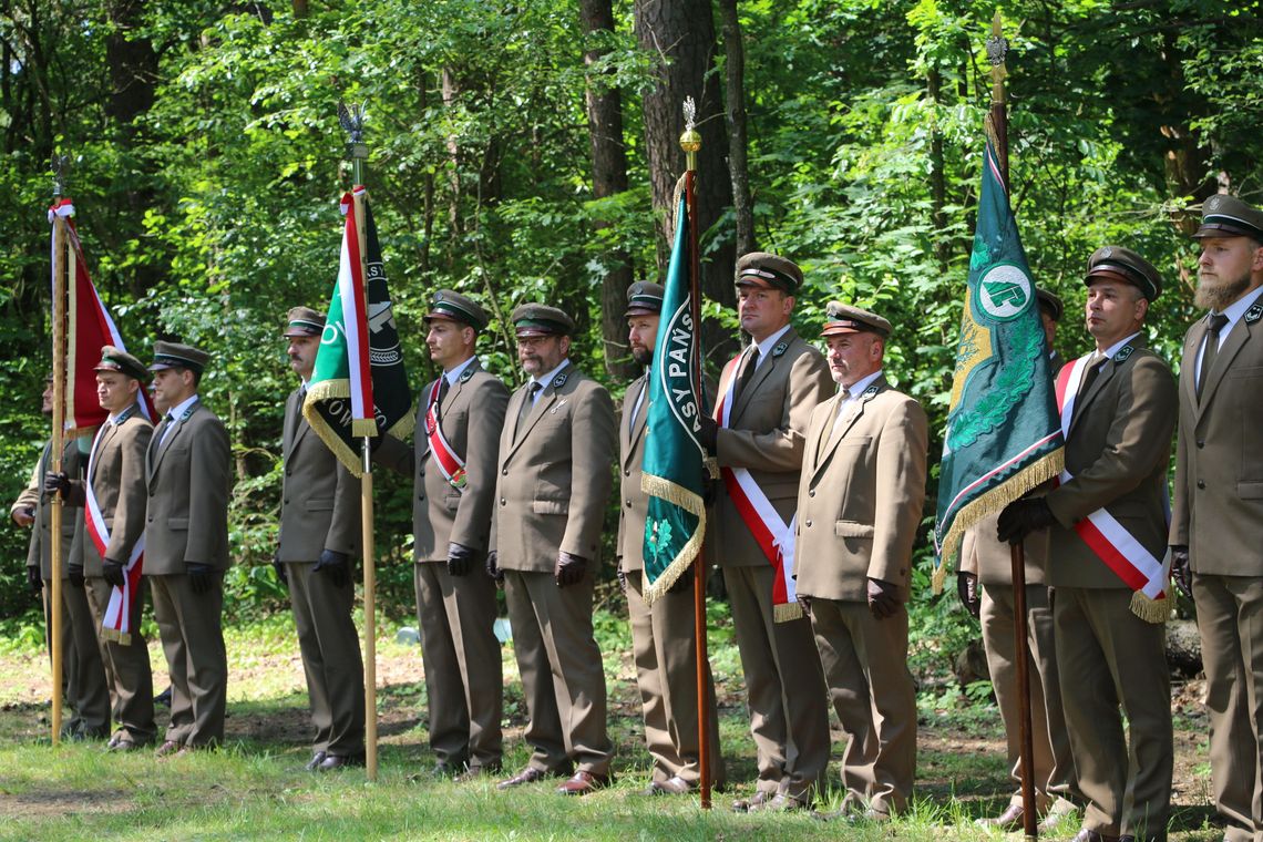 XXVI Pielgrzymka Leśników w Studzienicznej (foto i video)