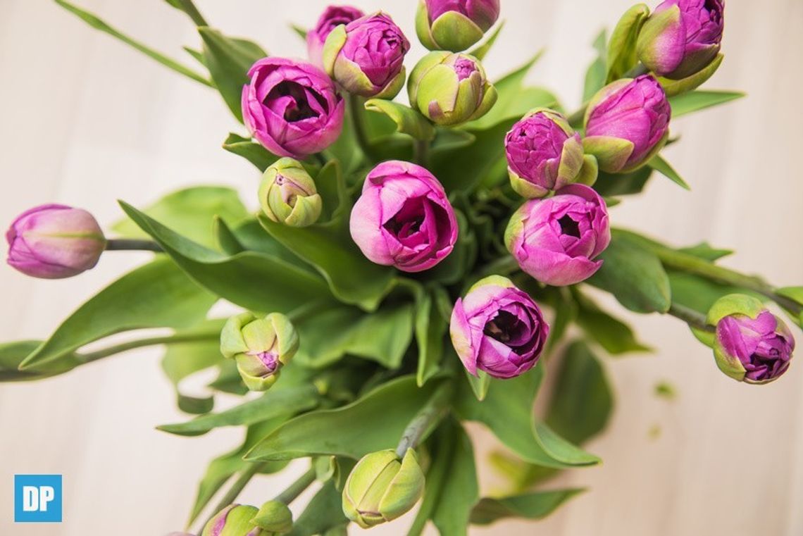 Z serca dla Mam – życzenia z okazji Dnia Matki 💐