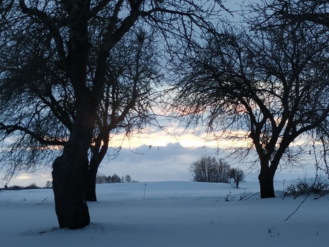 Zima w obiektywie młodych fotografów 