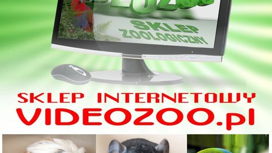 Sklep Zoologiczny VIDEOZOO