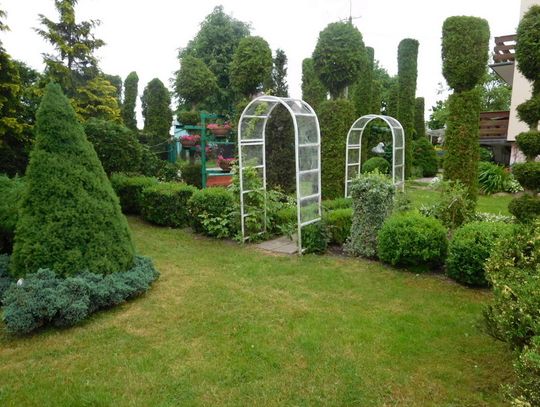 Przepiękne ogrody na podium - ogród Anety Pawłowskiej z Topiłówki 