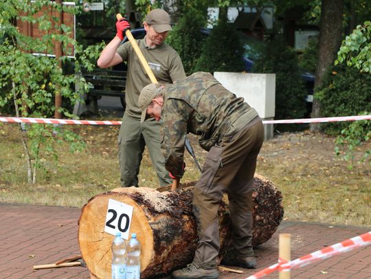 Dzianie kłody bartnej