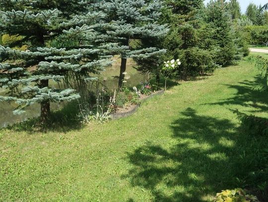 III  miejsce Aneta i Mirosław Maksimowscy z Żarnowa Drugiego