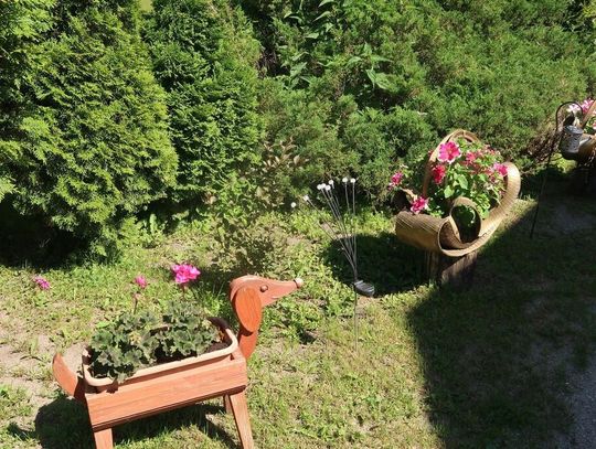 Wyróżnienie Ewa i Wiesław Wysoccy z Janówki