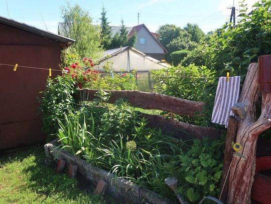 Wyróżnienie Maryla i Jarosław Kolenda z Rutek Starych