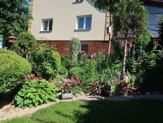 II  miejsce Teresa i Stanisław Kondraccy z Grabowa Kolonii