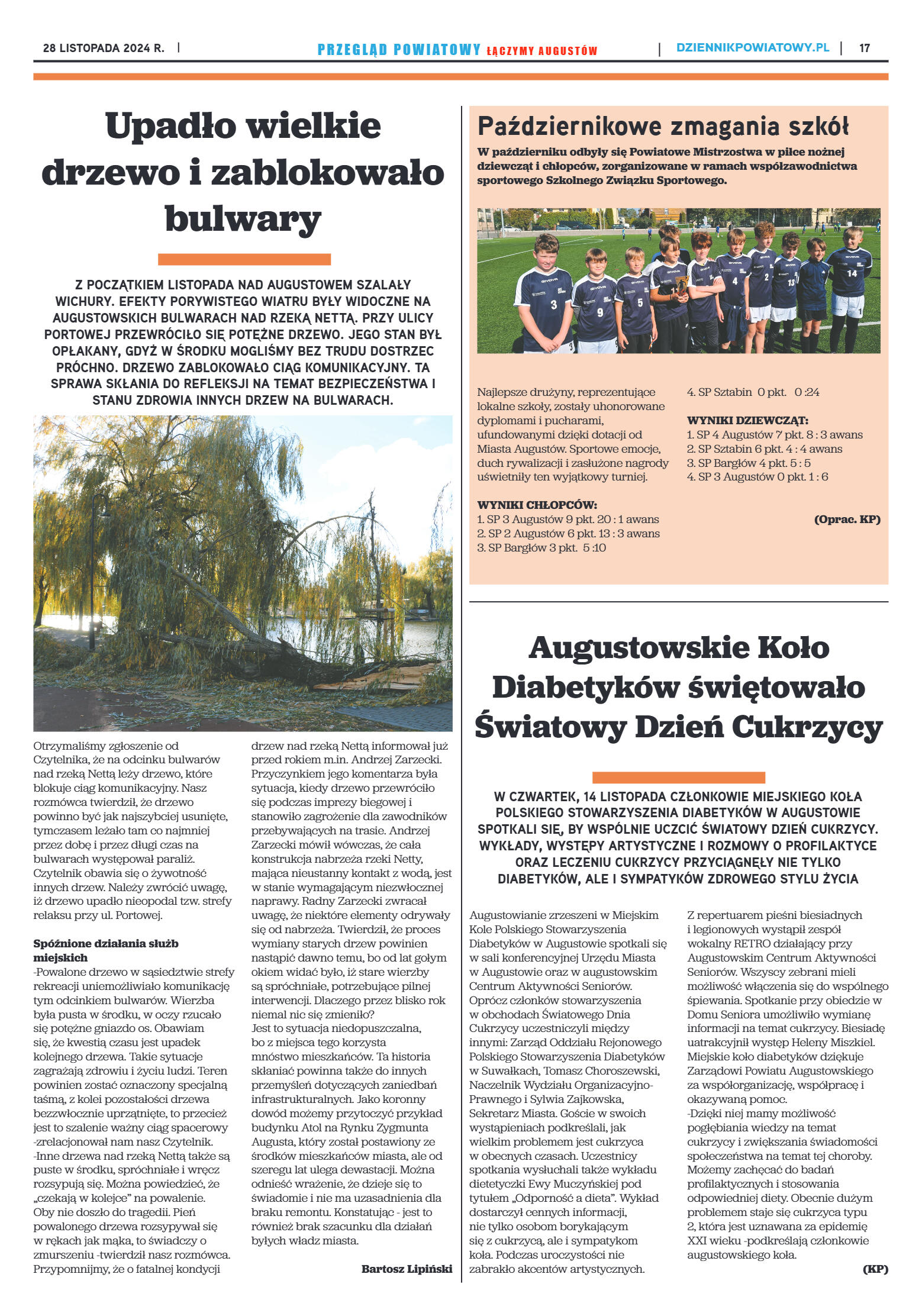 Miesięcznik Przegląd Powiatowy nr 4 z dnia 28 list - strona 17