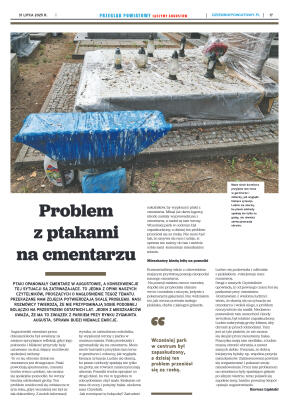 Miesięcznik Przegląd Powiatowy nr 7 z dnia 31 lipc - strona 17