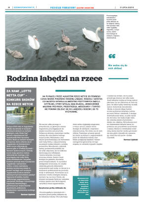 Miesięcznik Przegląd Powiatowy nr 7 z dnia 31 lipc - strona 18