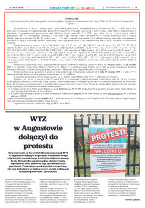 Miesięcznik Przegląd Powiatowy nr 7 z dnia 31 lipc - strona 19