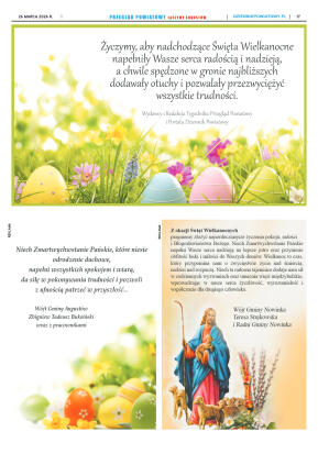 Miesięcznik Przegląd Powiatowy nr 3 z dnia 26 marc - strona 17